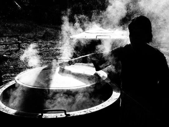 Thumbnail: Foto-Enno-de-Jonge_La-fageda-tardo2024-128dpi--1302547.JPG